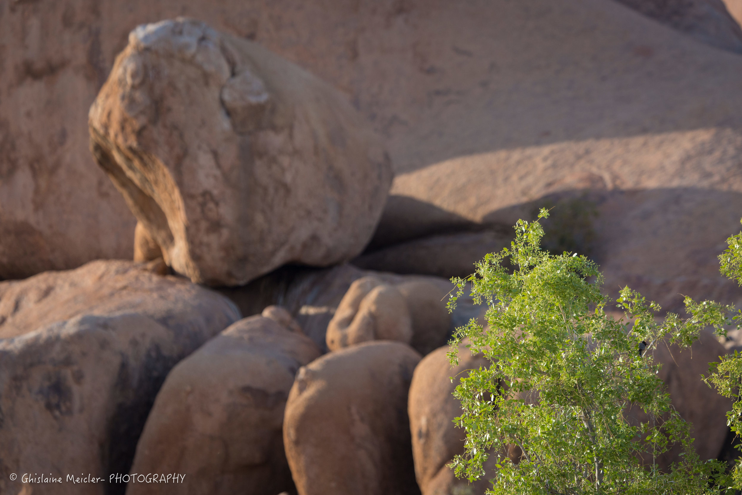 Namibie- 9092.jpg