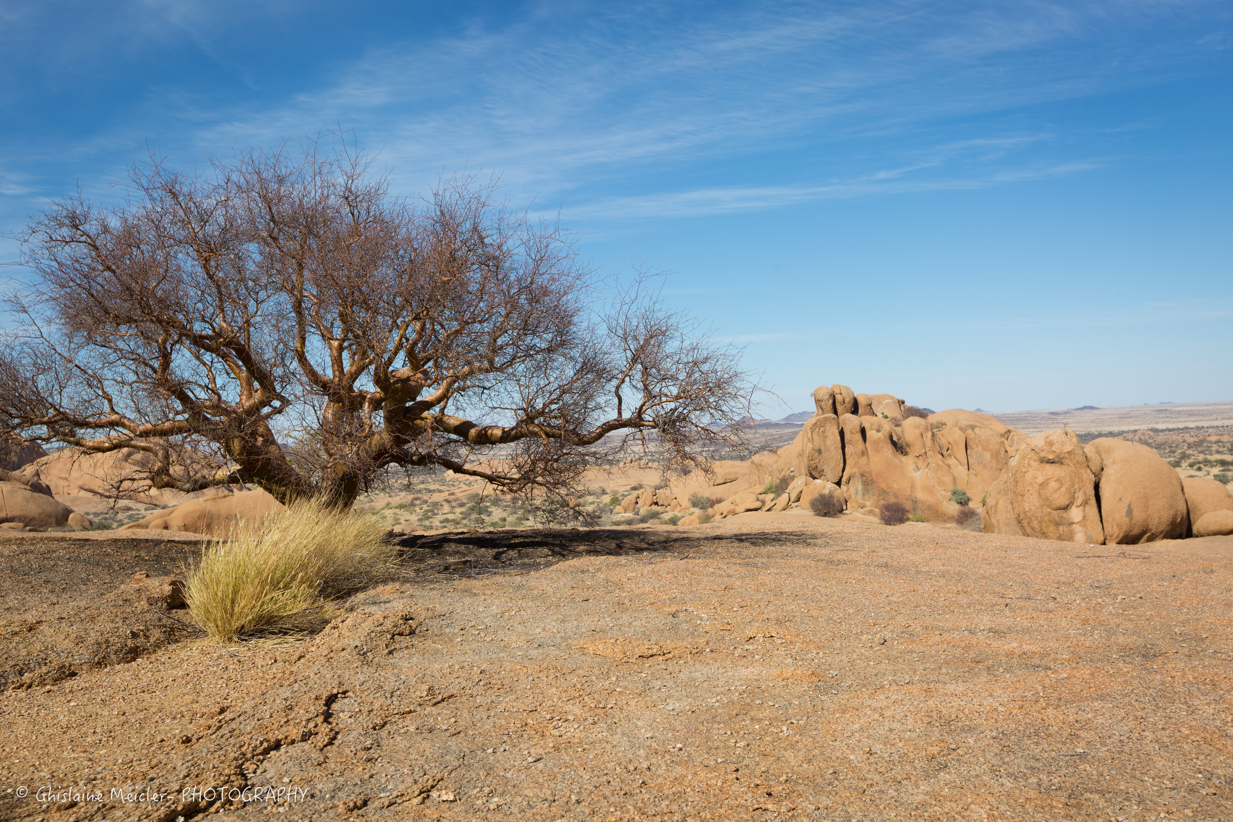 Namibie- 9119.jpg