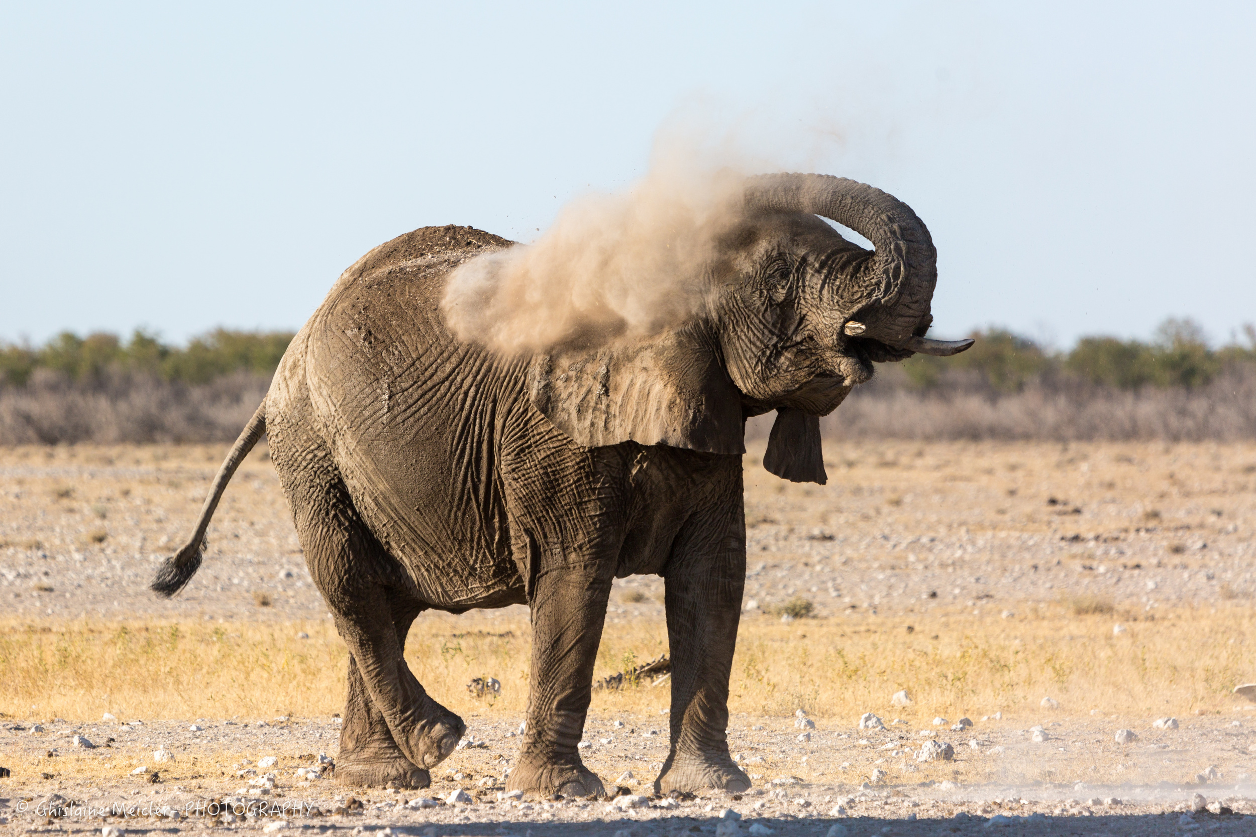 Namibie- 8068.jpg