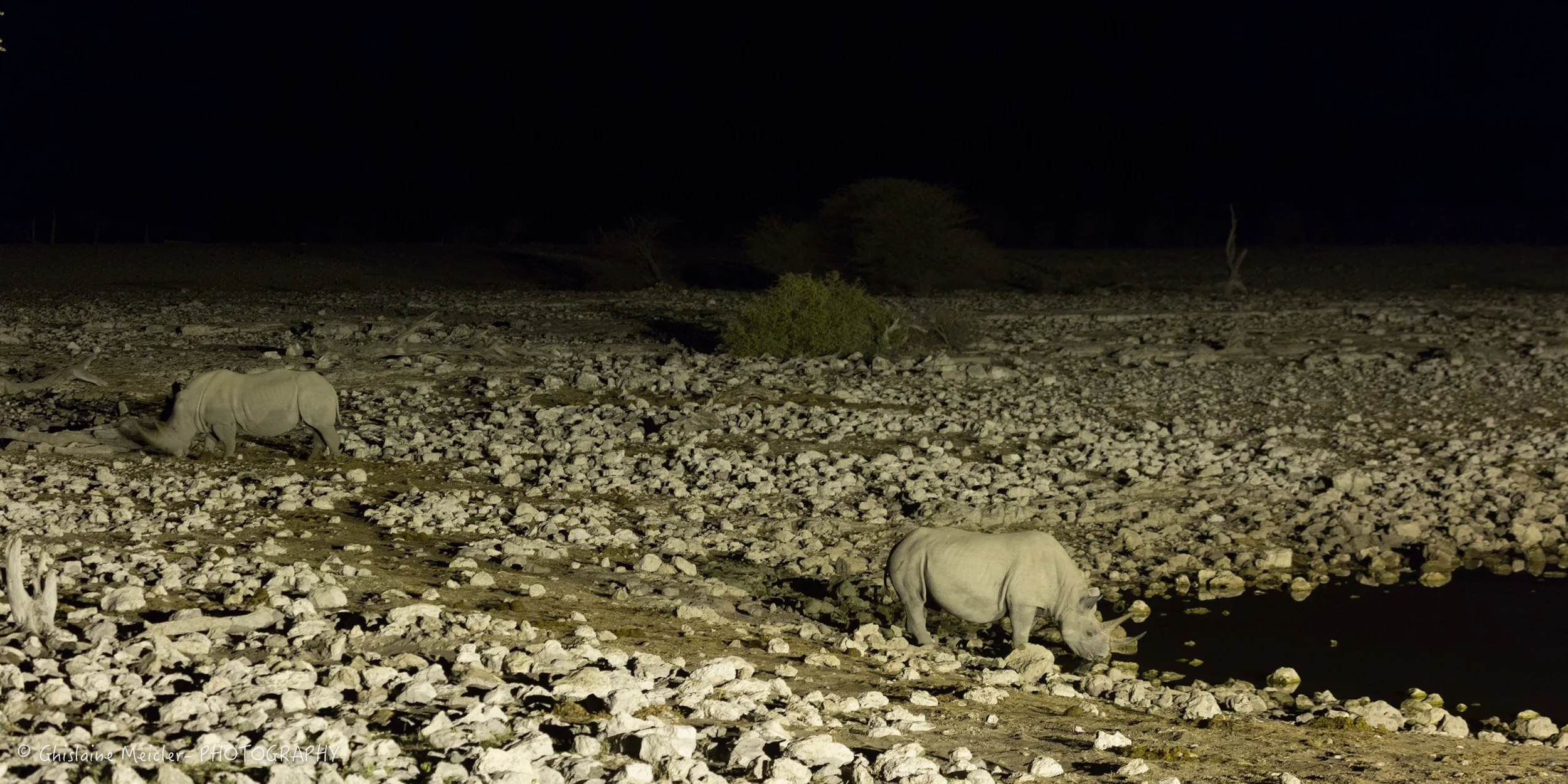 Namibie- 7170.jpg