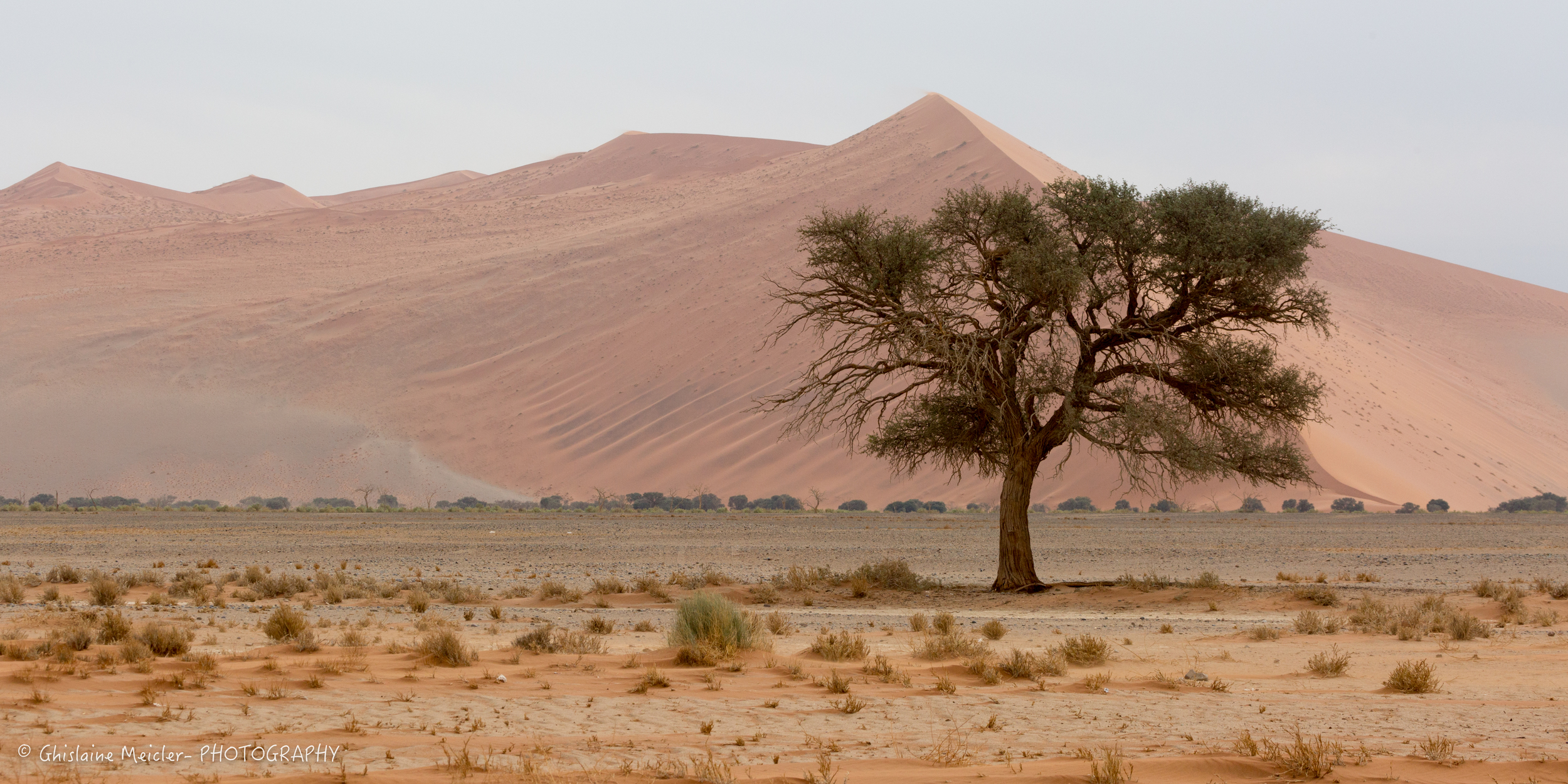 Namibie- 12662.jpg