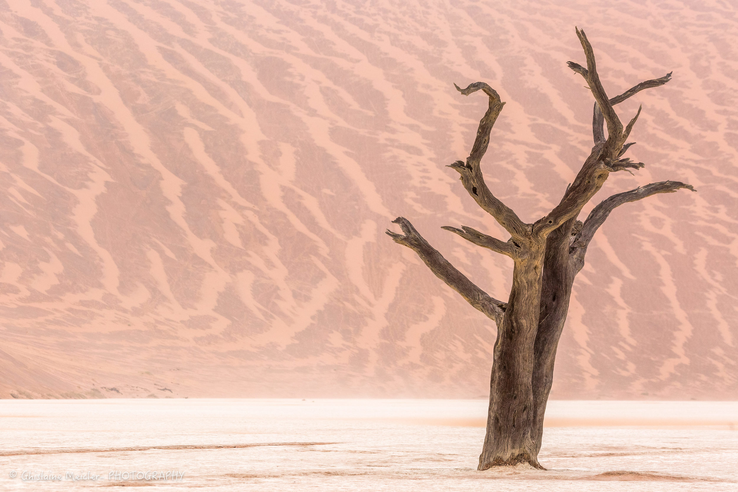 Namibie- 12480-HDR-Modifier.jpg