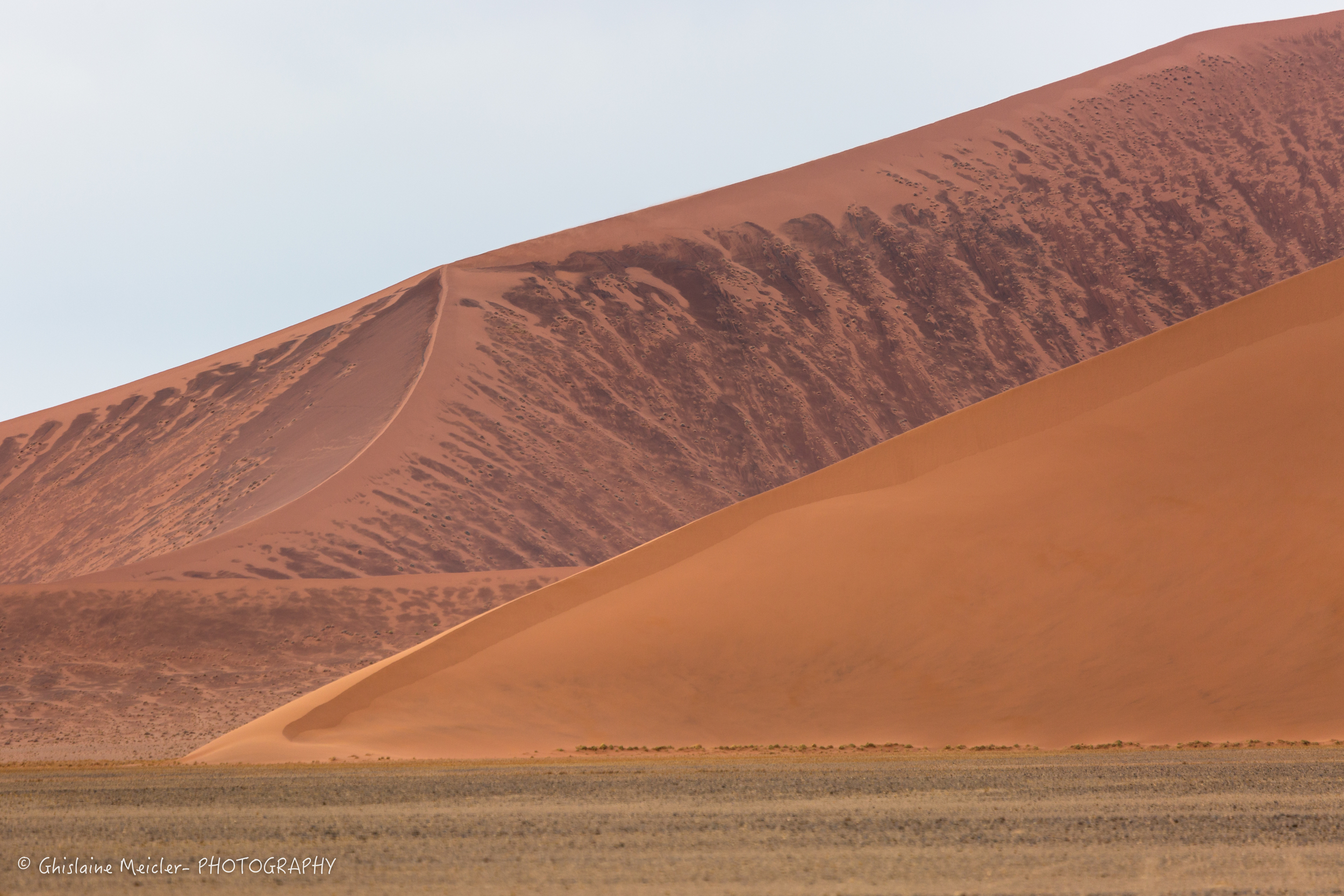 Namibie- 12619.jpg