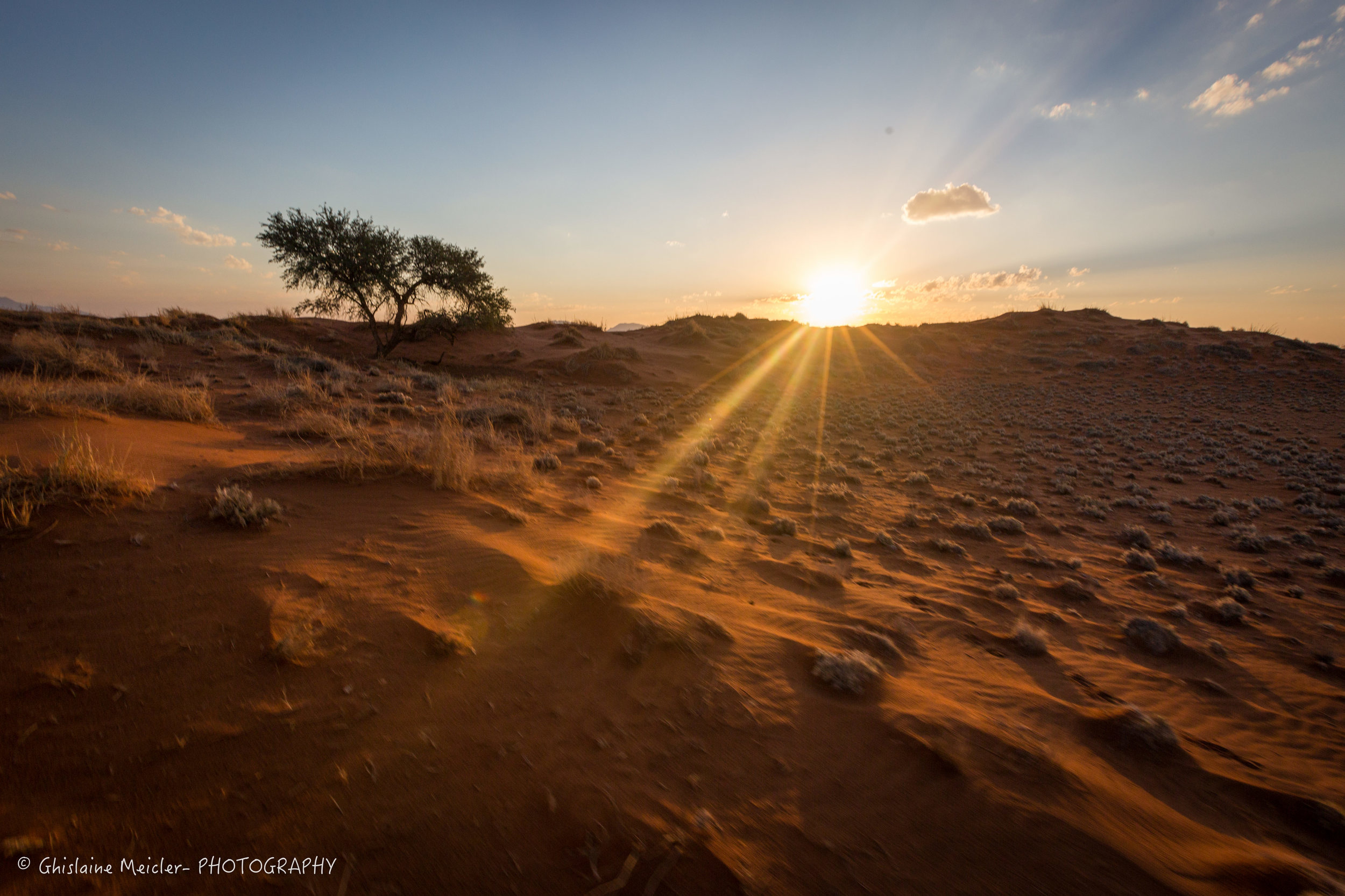 Namibie- 13103.jpg