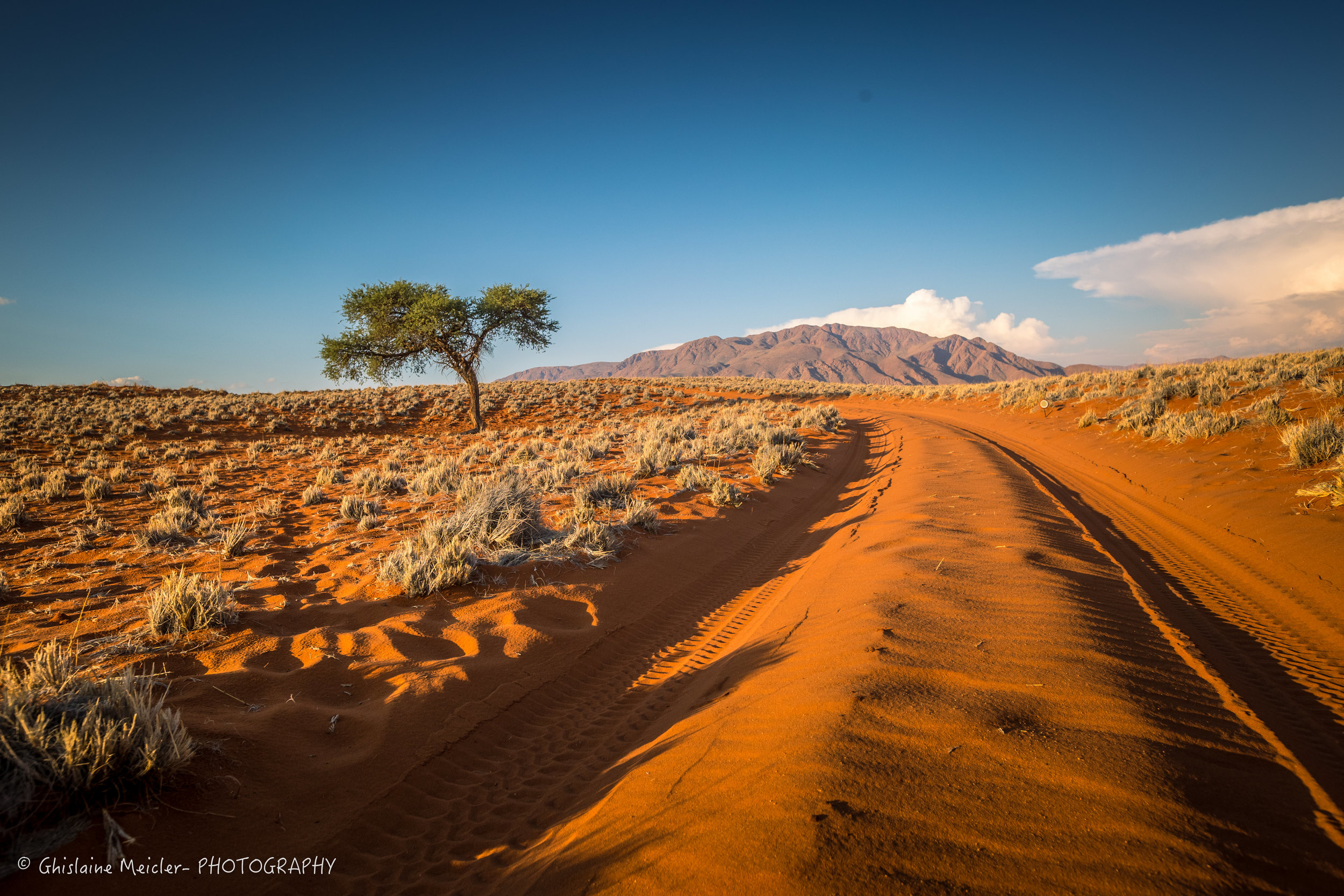 Namibie- 13047.jpg