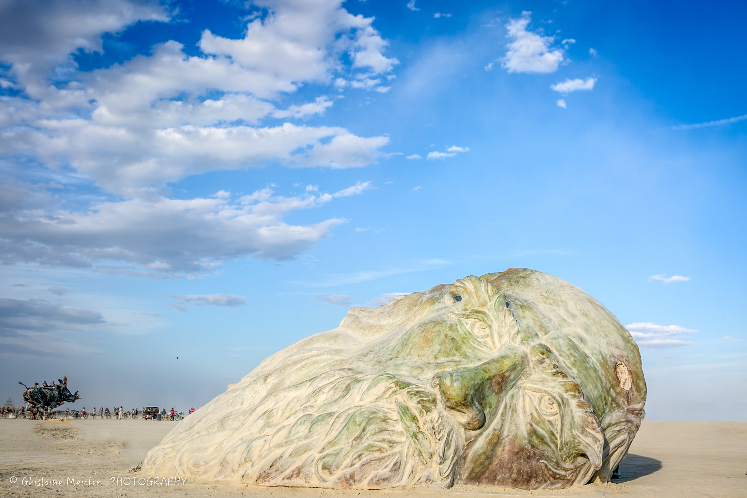 Burning Man--34.jpg