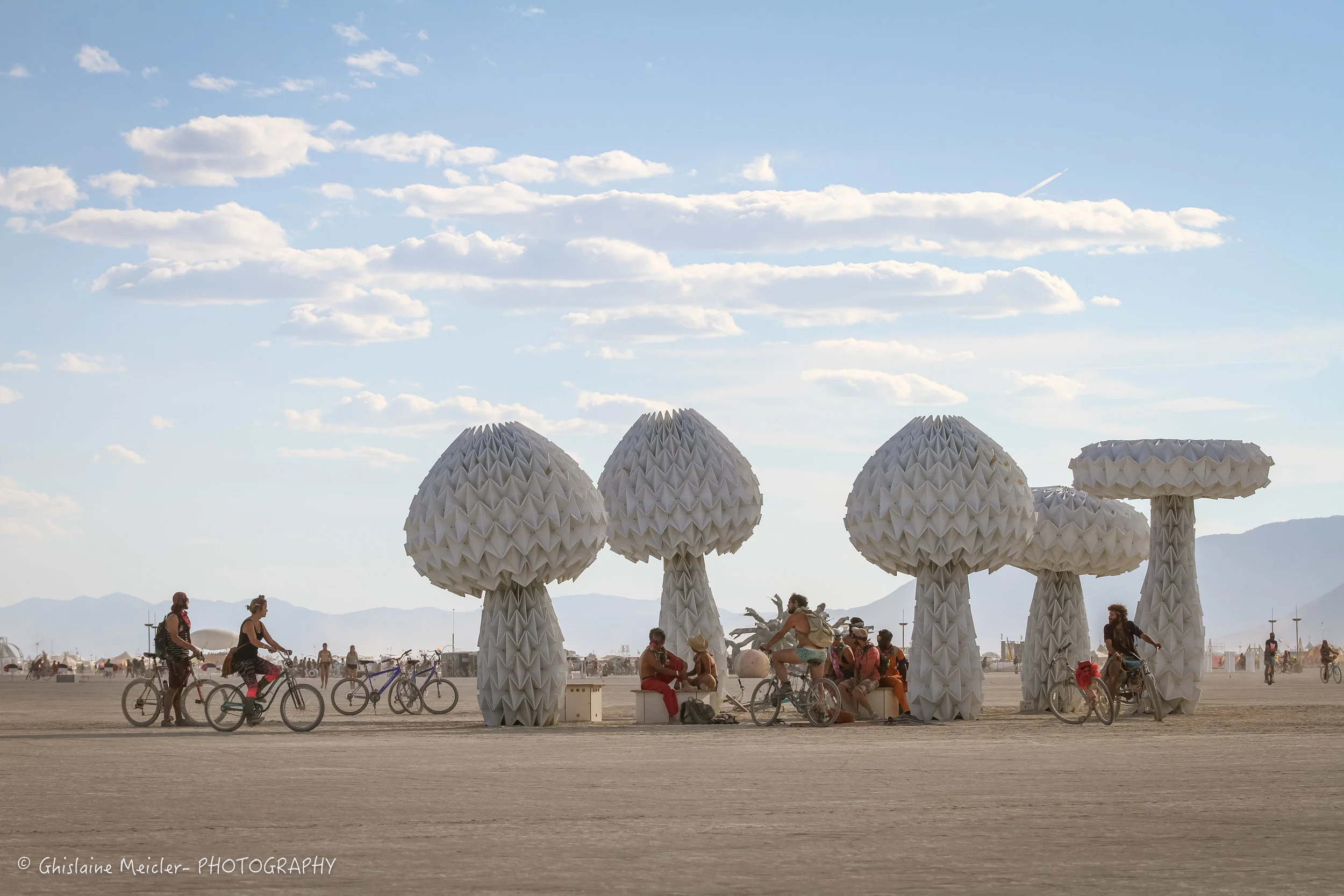 Burning Man-19160.jpg