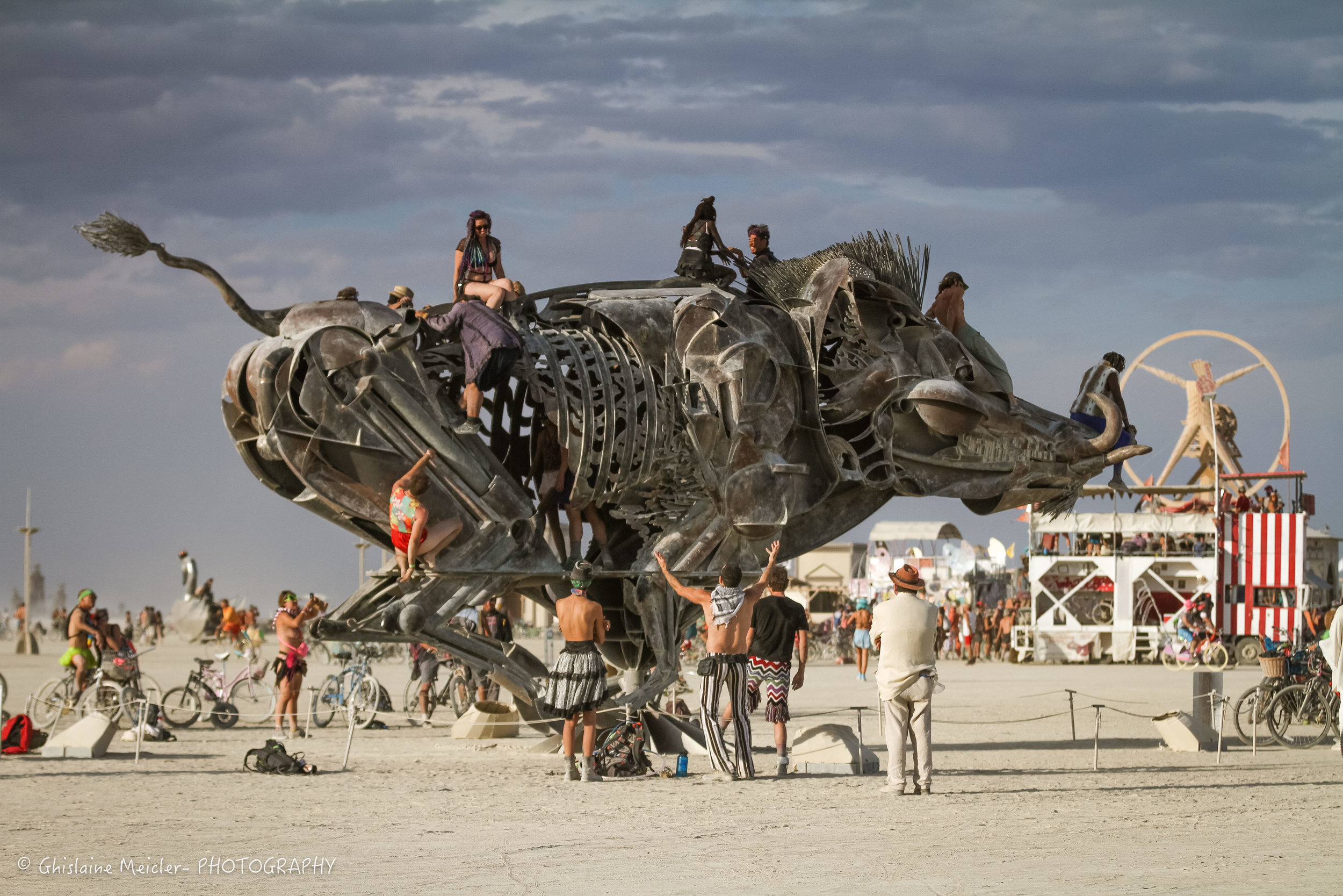 Burning Man-19209.jpg