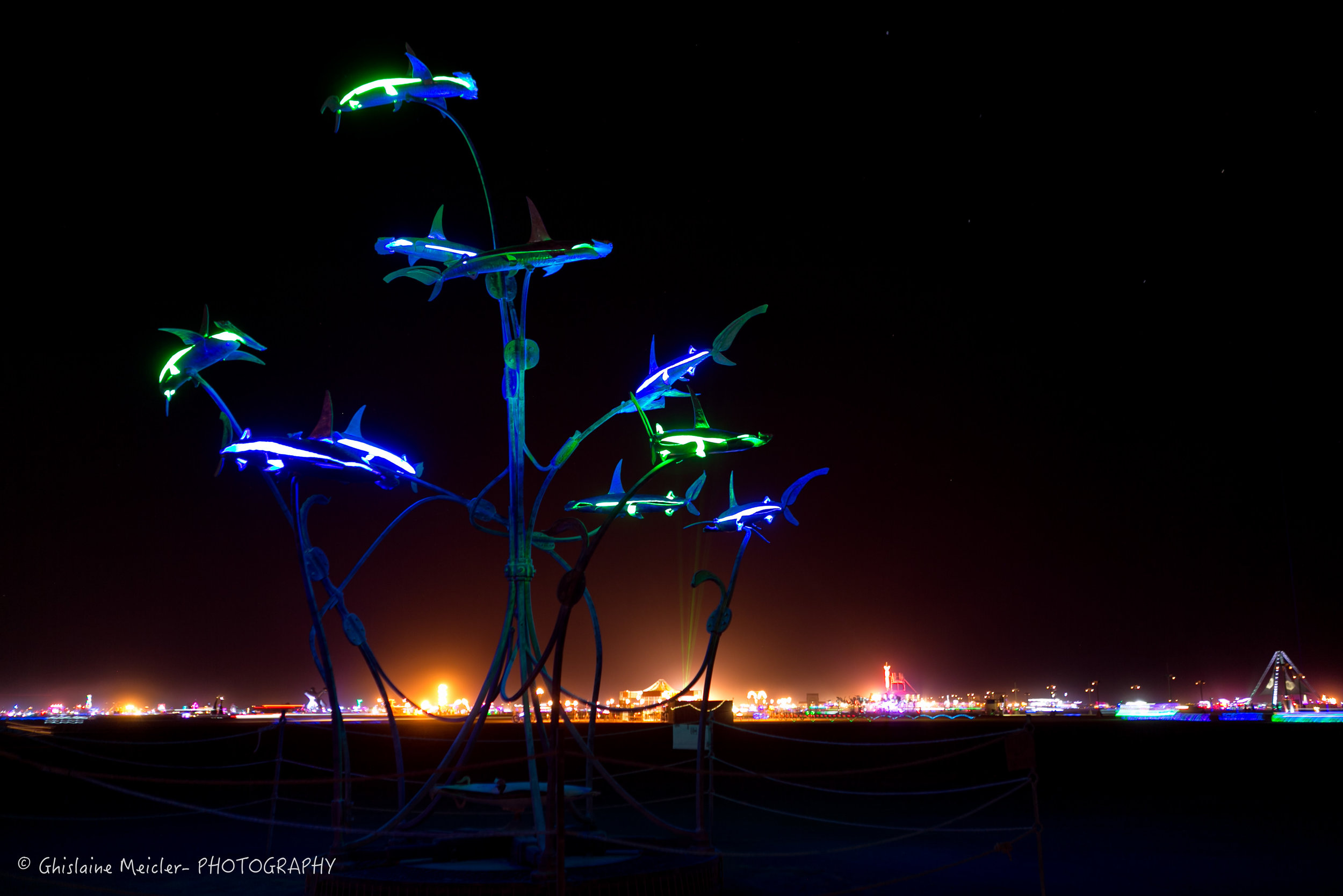 Burning Man--11.jpg