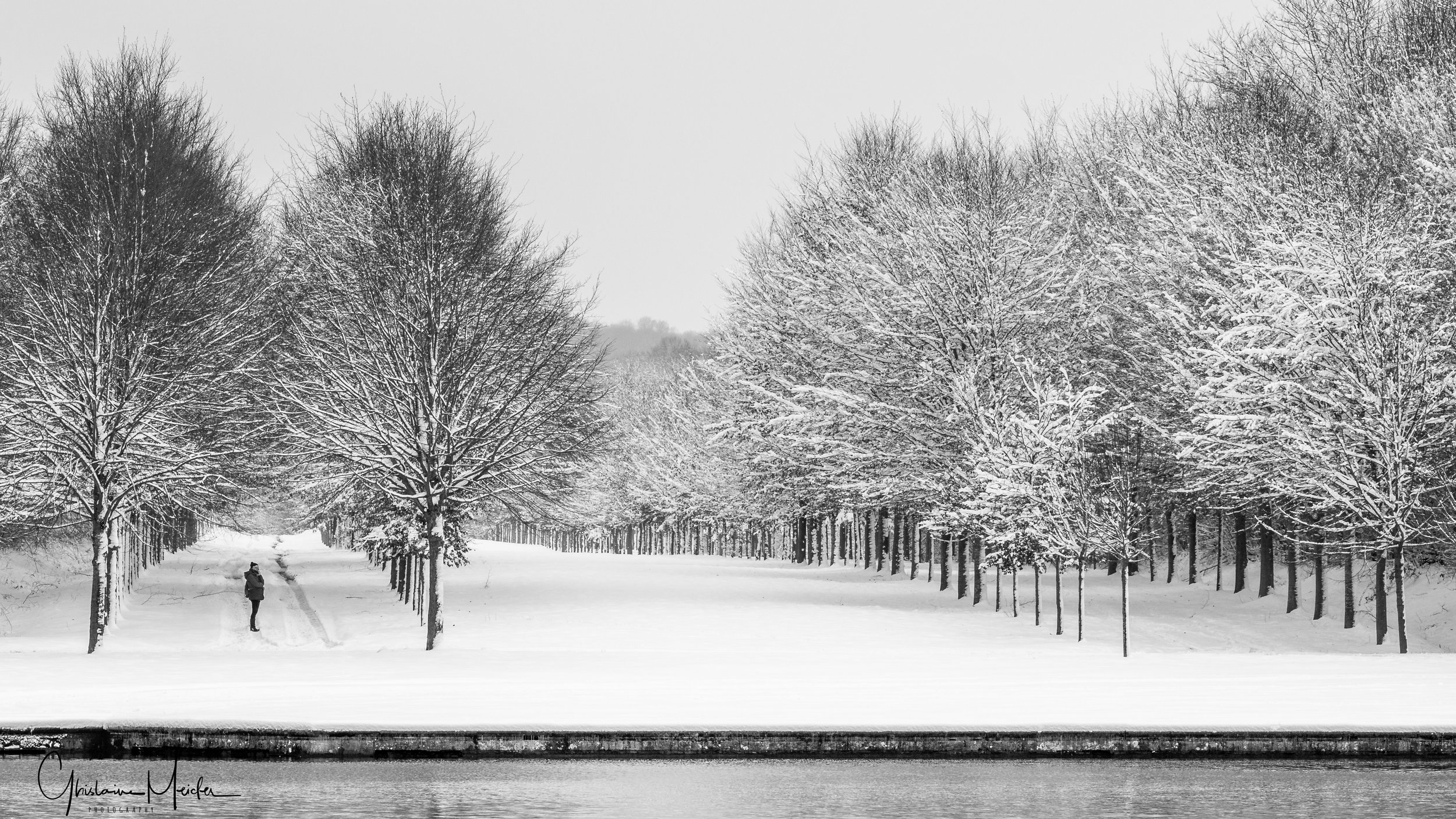 Versailles neige-44833.jpg