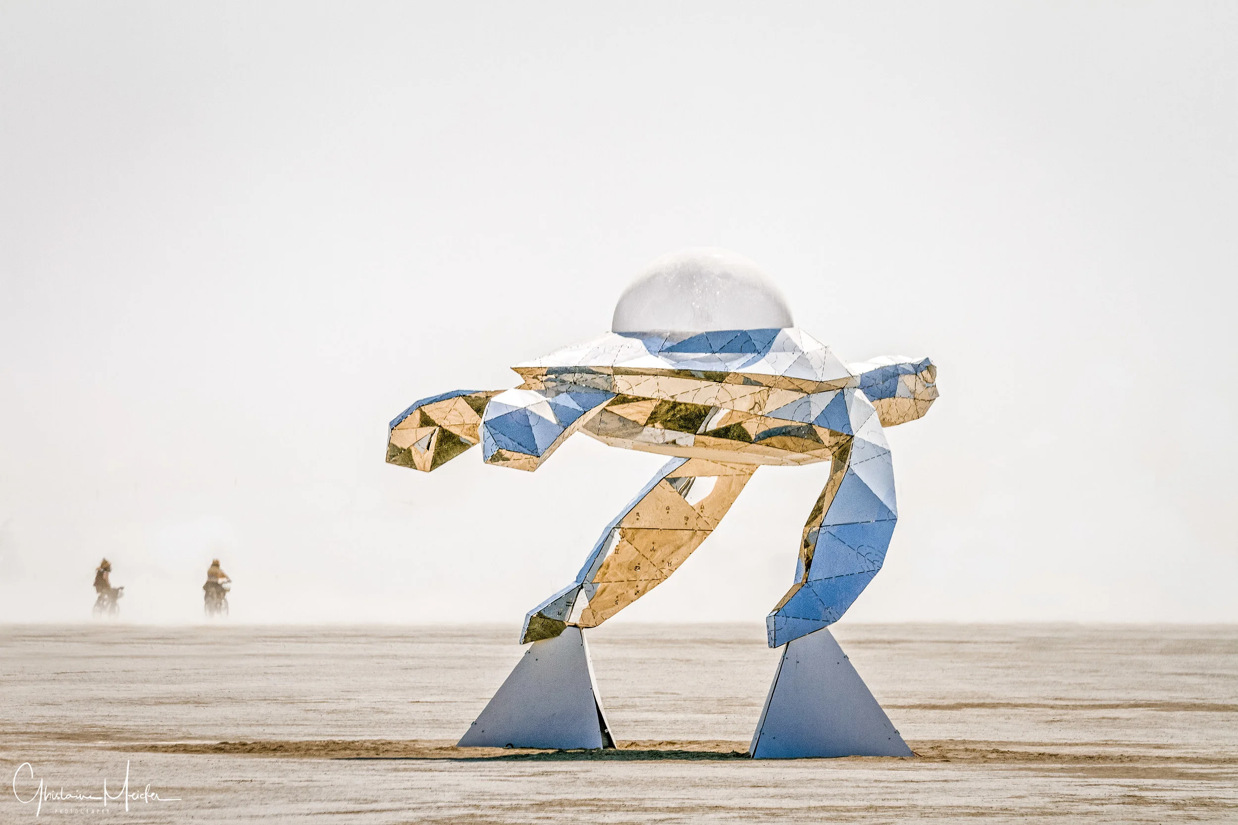 Burning Man 2018--53844-Modifier.jpg