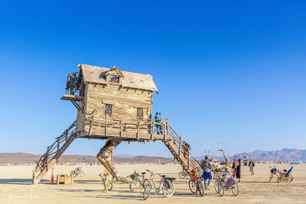 Burning Man 2018--55448-Modifier-Modifier.jpg
