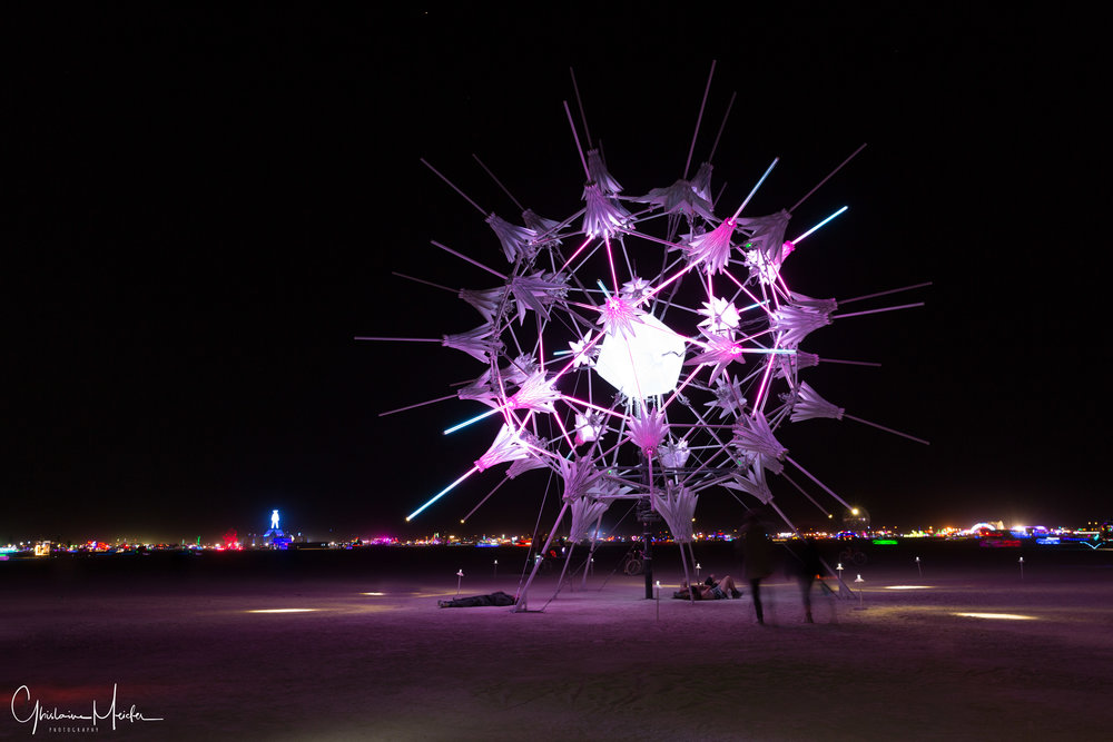 Burning Man 2018--55699.jpg