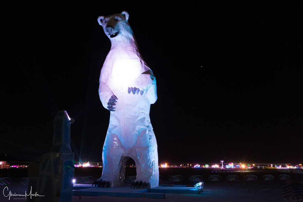 Burning Man 2018--55718.jpg