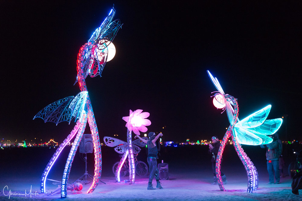 Burning Man 2018--56943-Modifier.jpg