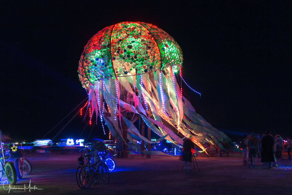 Burning Man 2018--56967.jpg