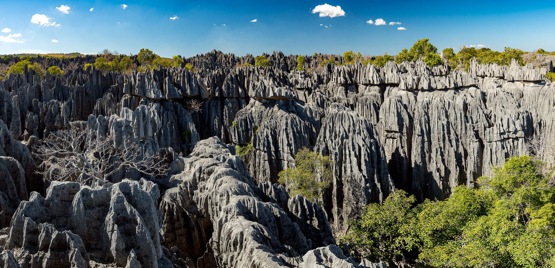 Madagascar--1419-Panorama-Modifier-1.jpg