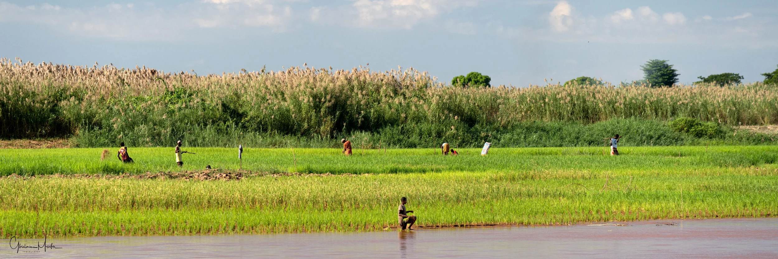 Madagascar--0669-Modifier.jpg