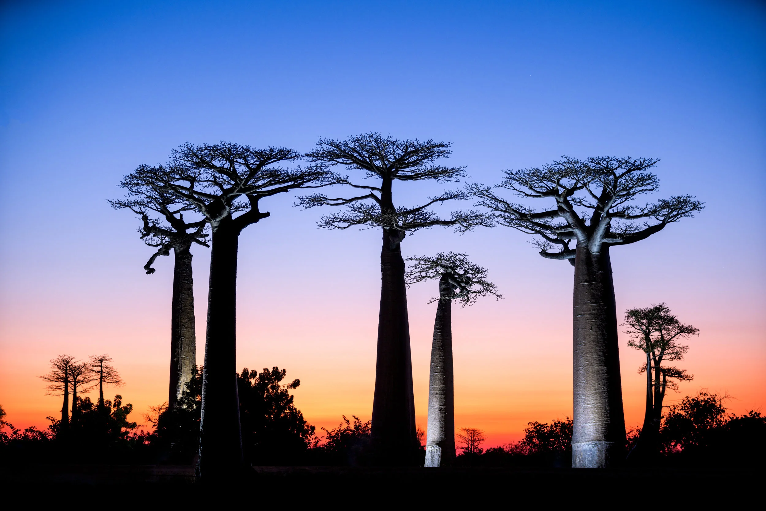 site de rencontre baobab