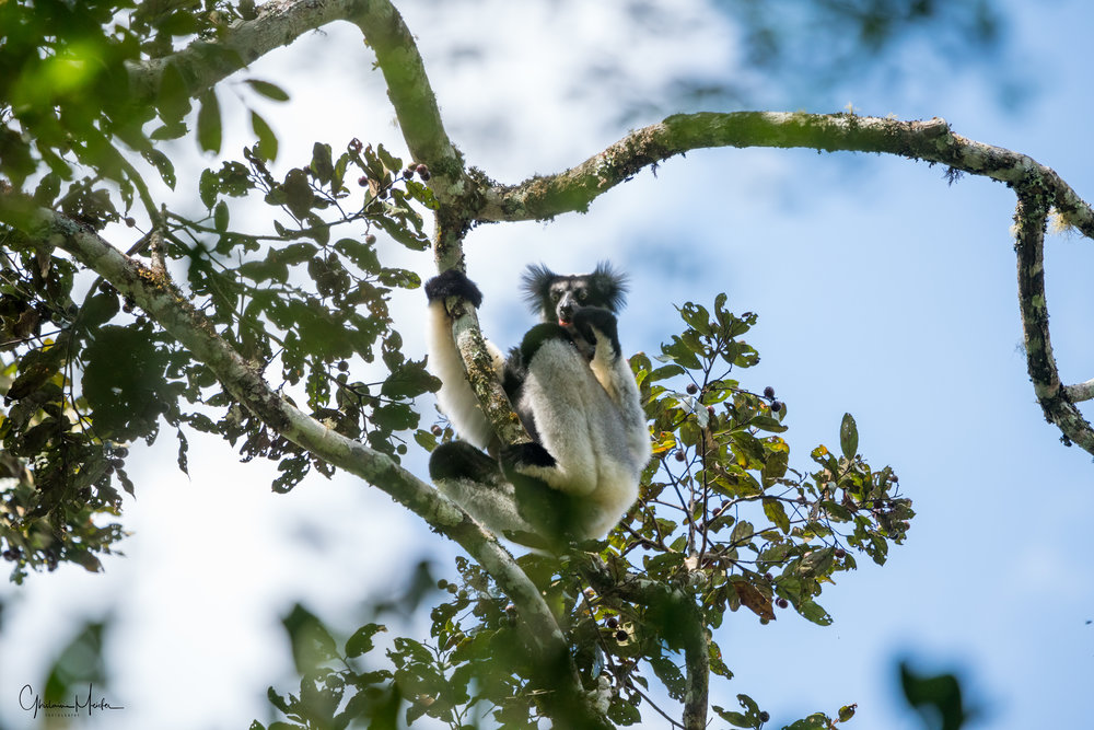 Madagascar--5405.jpg