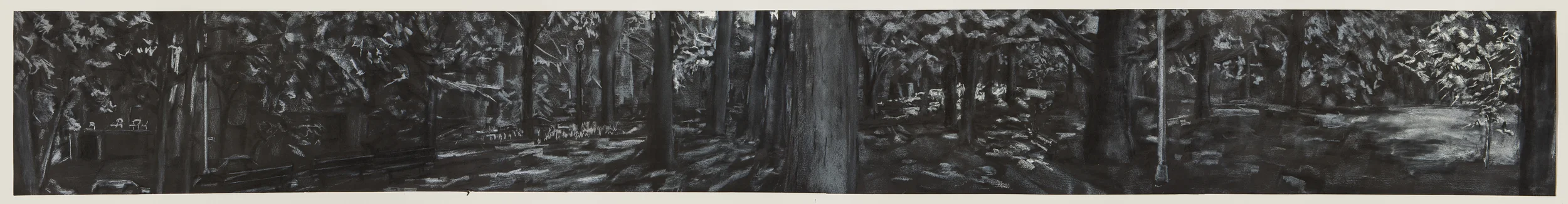 Astoria Park #3 2013 Charcoal, chalk, pastel on paper 13" x 97"