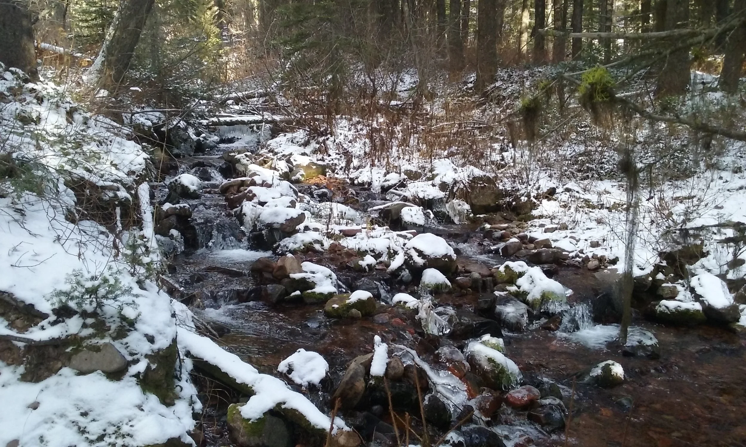 20161127_102857.jpg