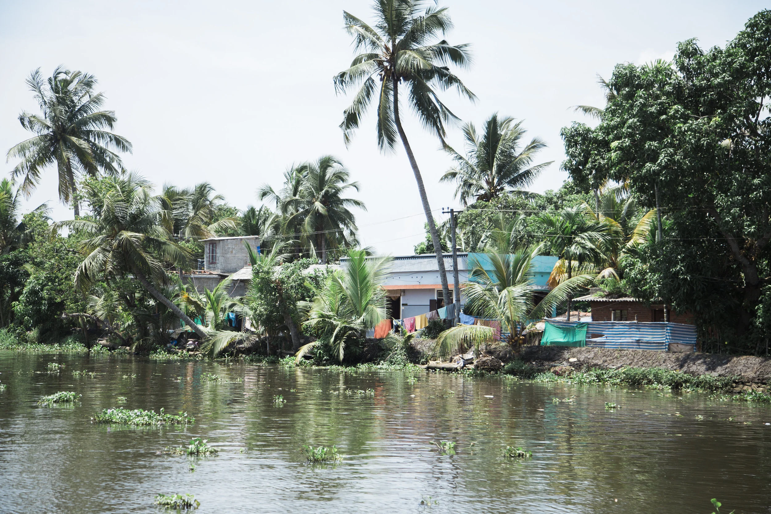 BACKWATERS, Kerala, India