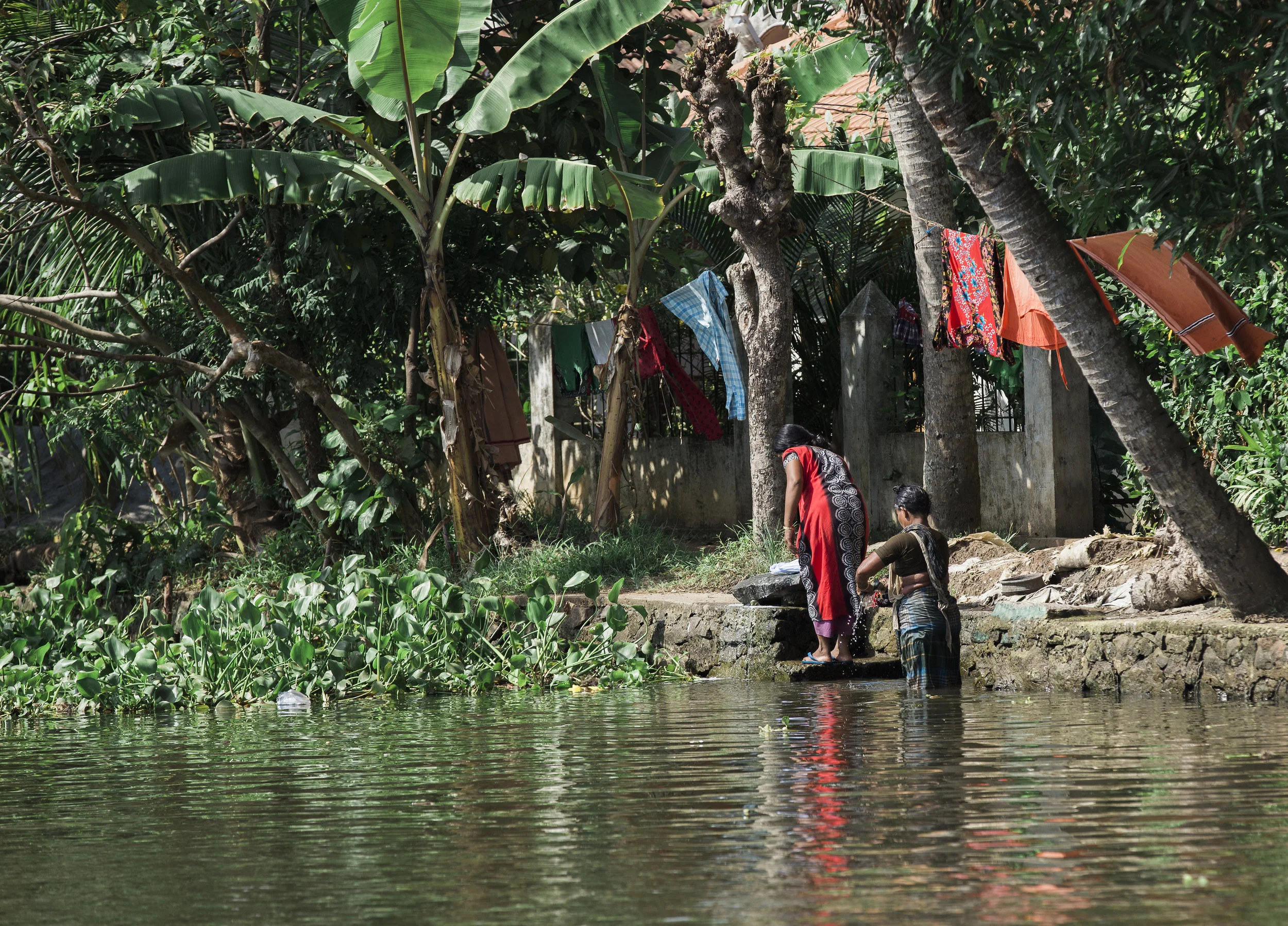 BACKWATER WASHING, Kerala, India