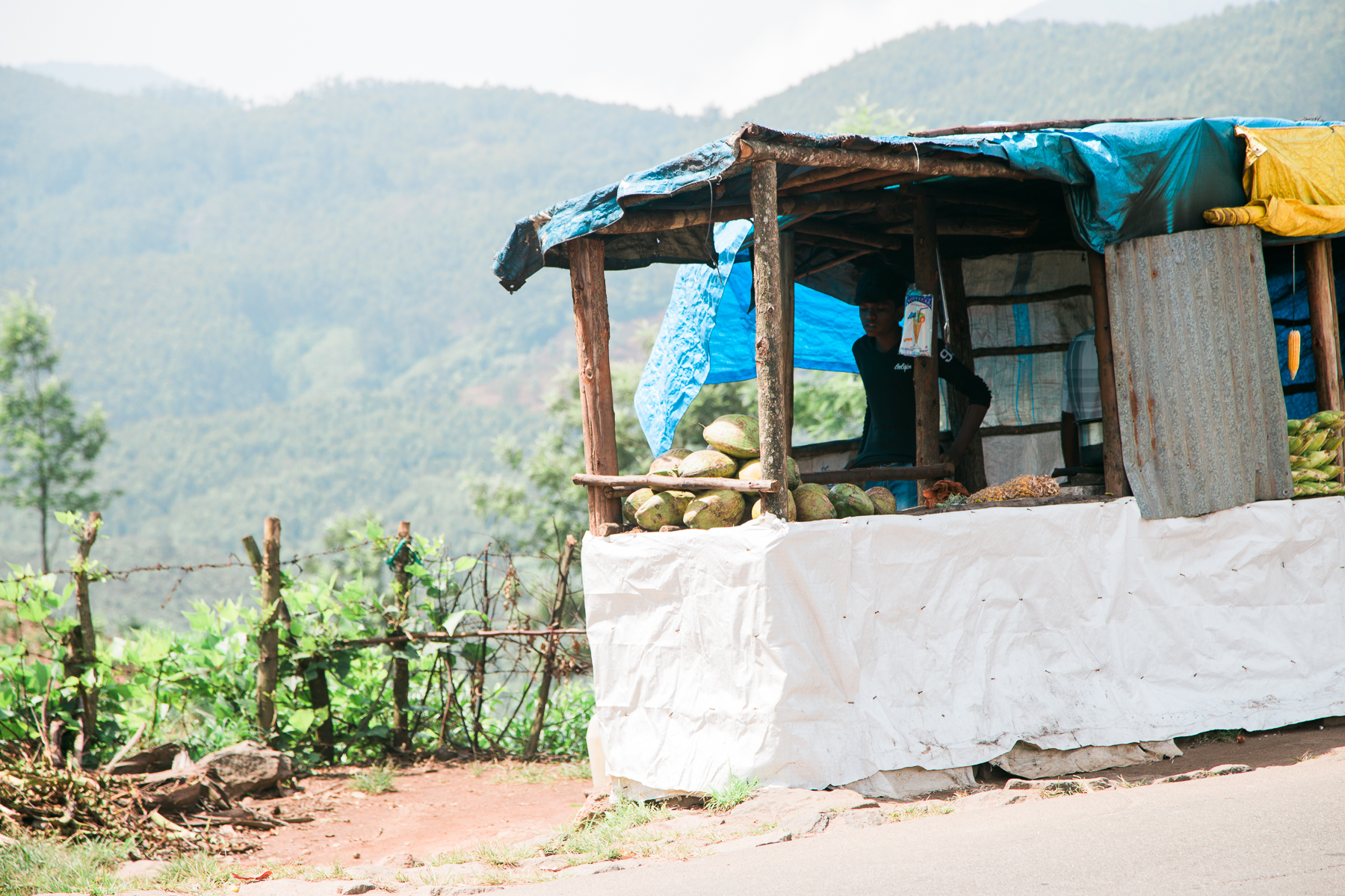 ROADSIDE STAND, Devikulam, India