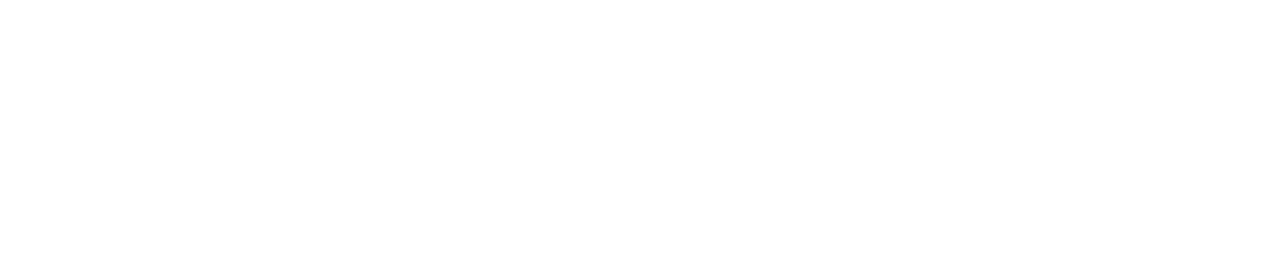 Vic Firth White Logo.png