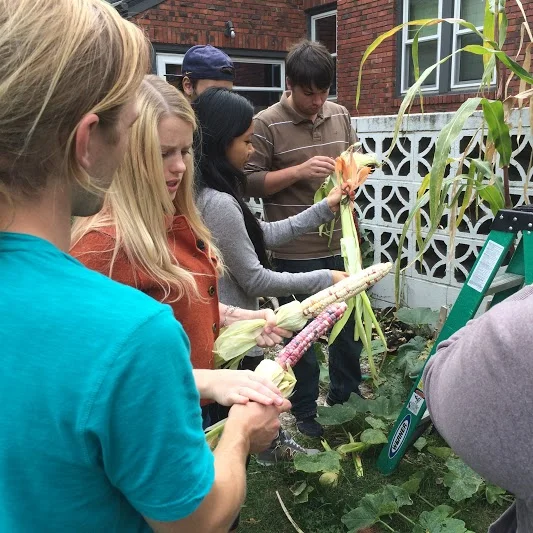 Sacred seed in the news