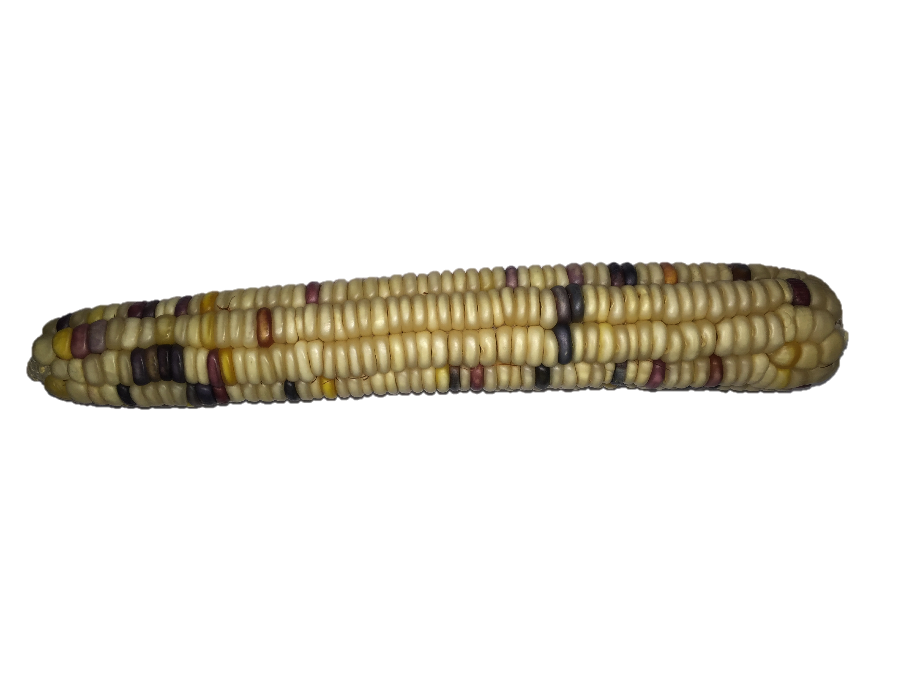 white .png