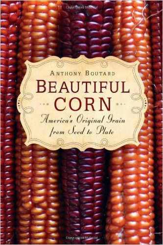 Beautiful Corn