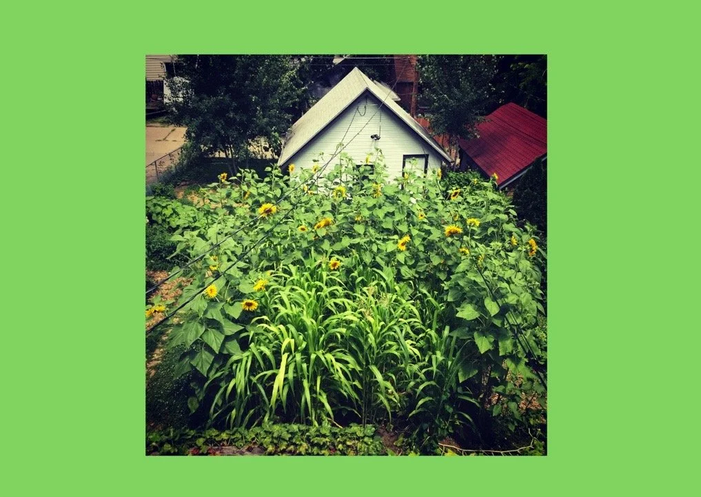 Image 3-4-22 at 12.09 PM.jpeg