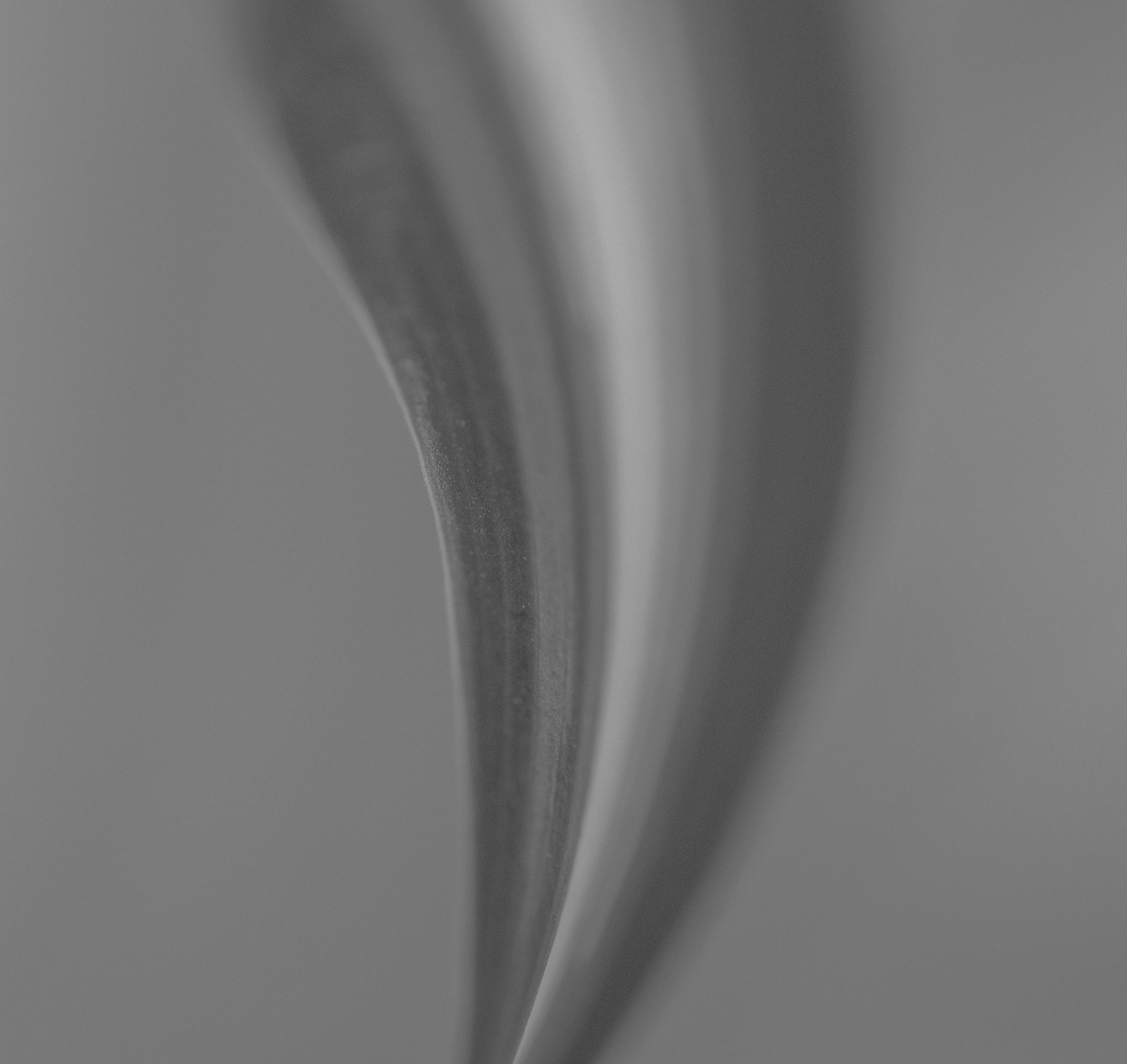 Hermetic.01 // canyon