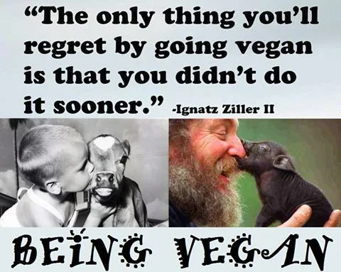 vegan meme 25.jpg