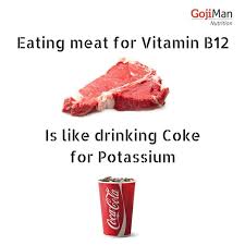 vegan meme11.jpeg