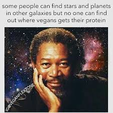 vegan memes 5.jpeg