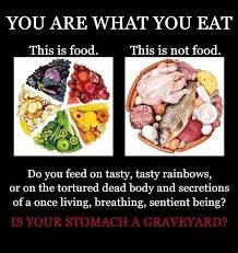 vegan memes 14.jpeg