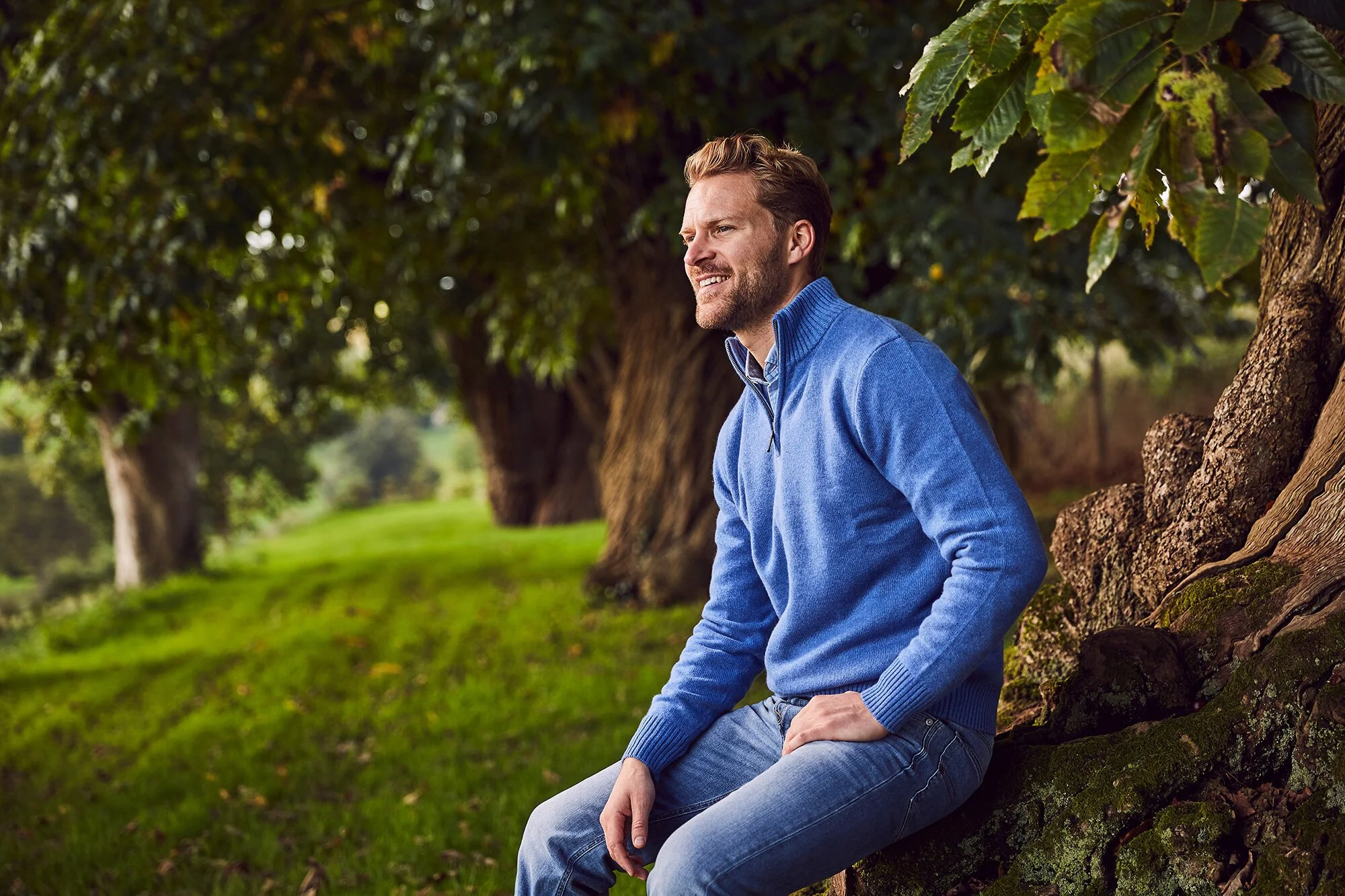 illan cashmere