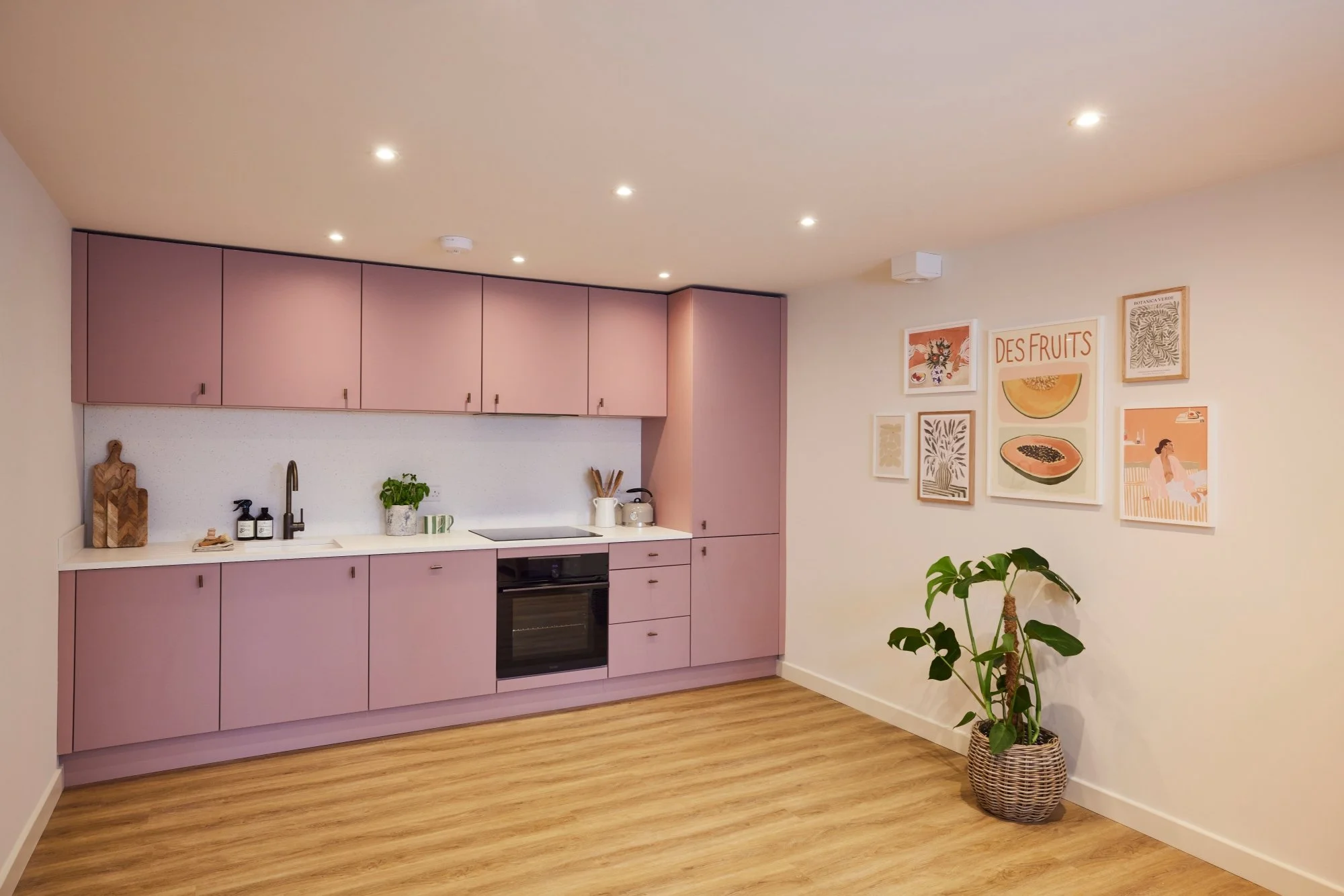 Nooko - Concord_079.jpg