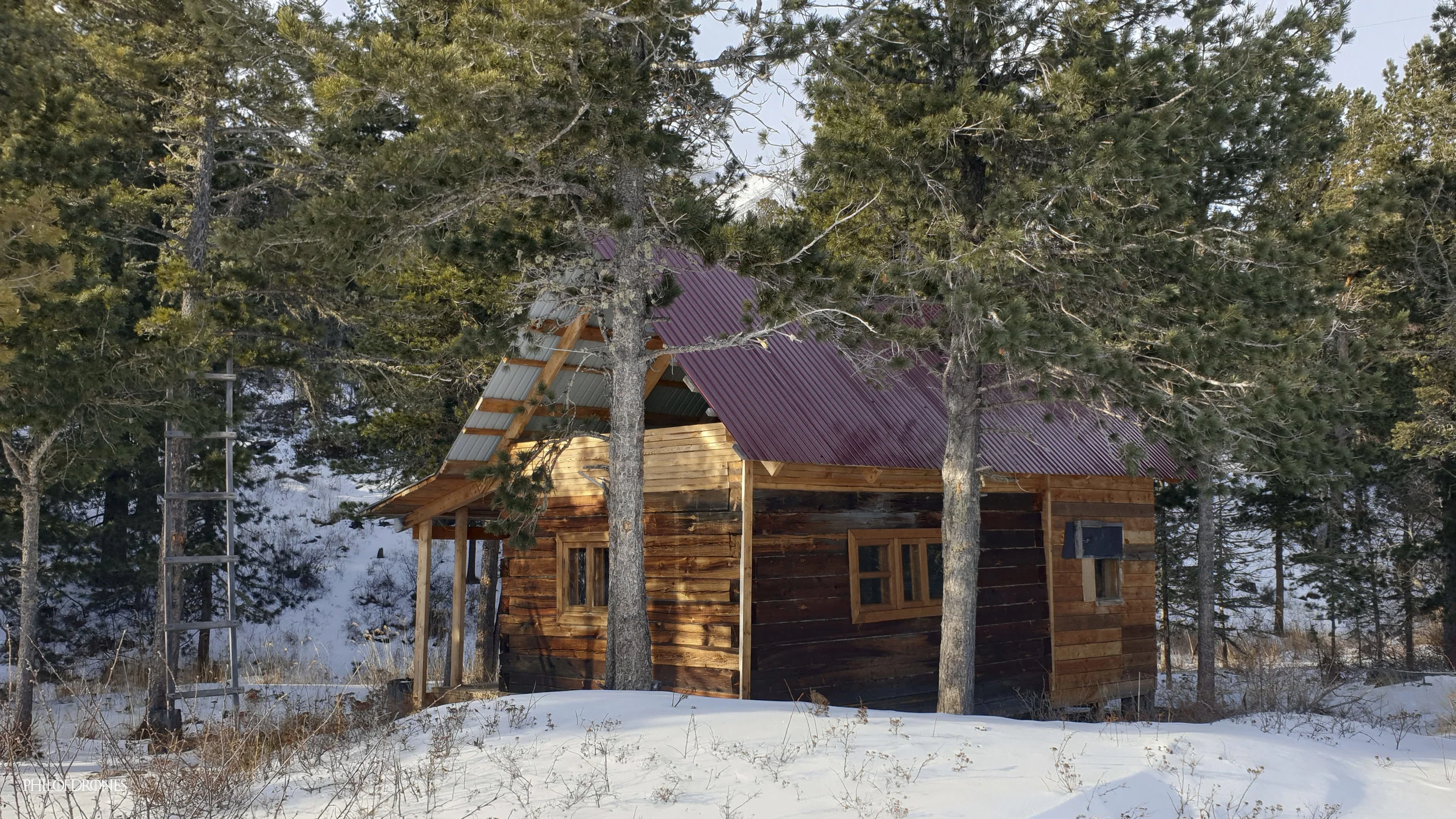 La Cabane de Sylvain tesson