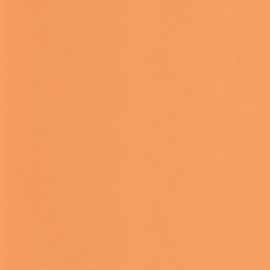 Orange Fizz