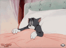 Tom and Jerry Cartoon GIF