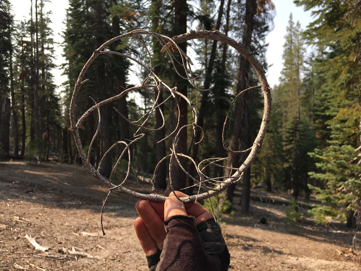 yosemite_loop_2015_0112.jpg