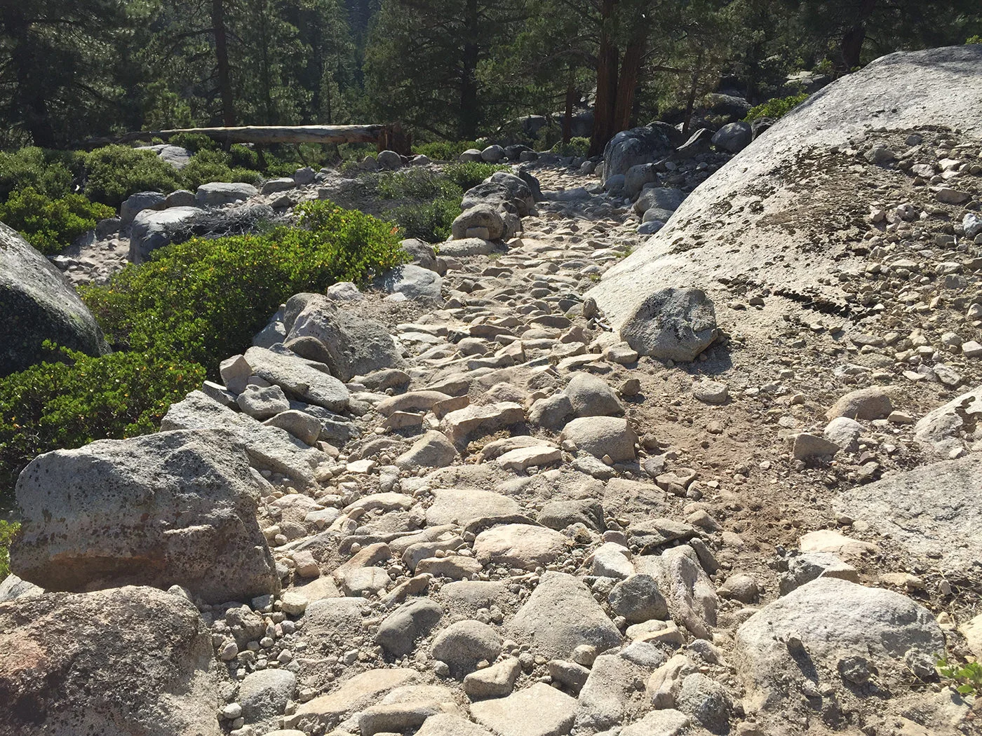yosemite_loop_2015_0308.jpg