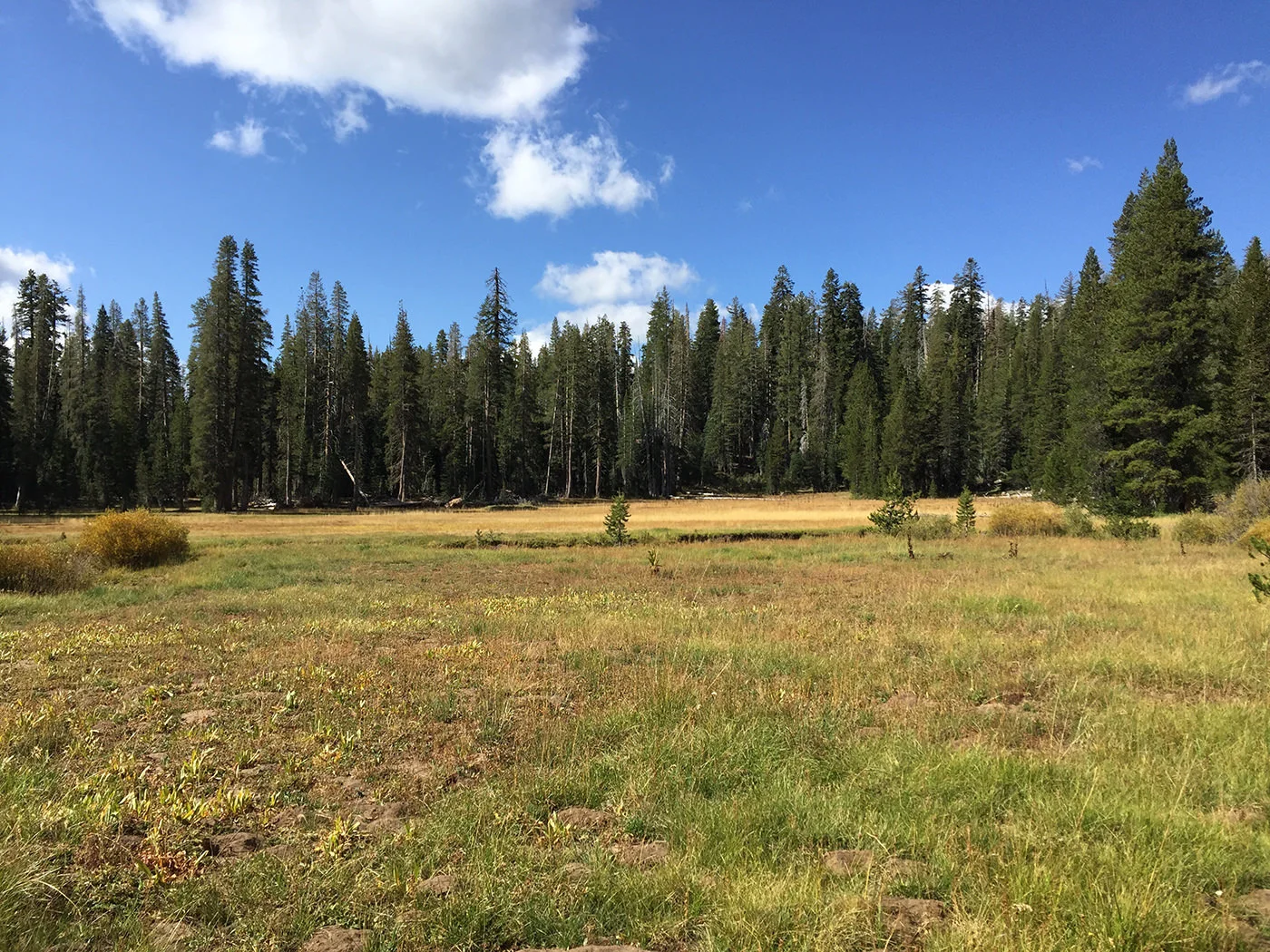 yosemite_loop_2015_0856.jpg