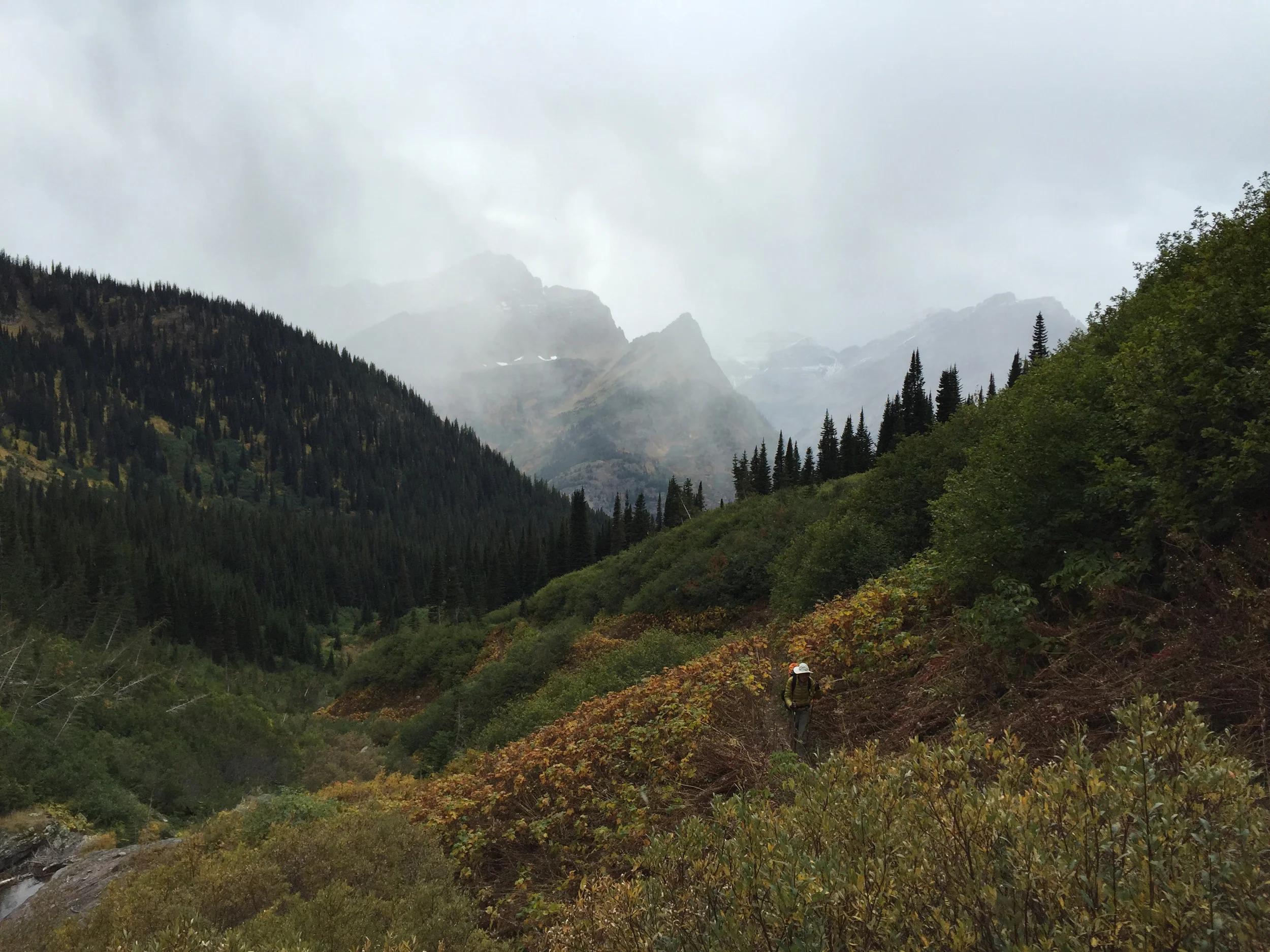 glacier_national_park_many_glacier_loop_1538.jpg