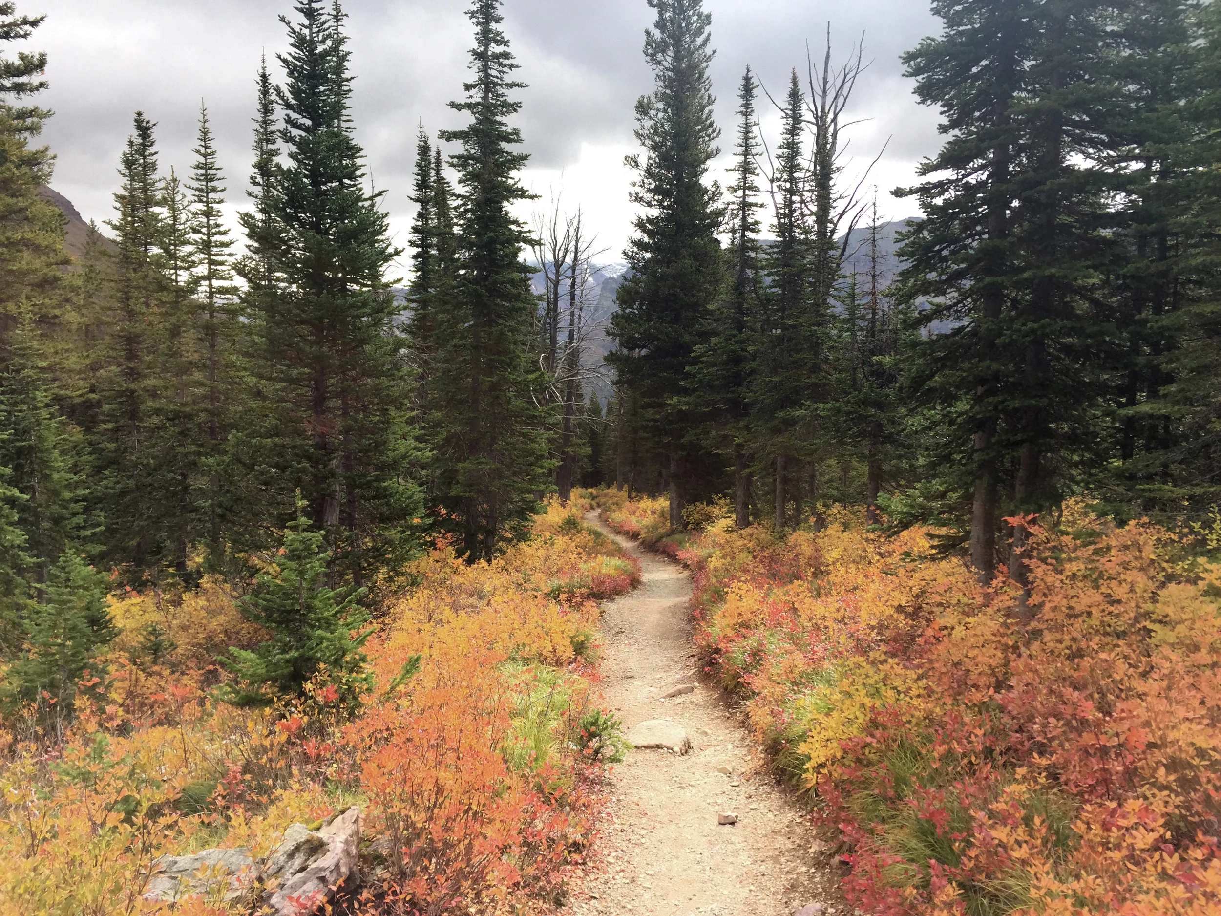 glacier_national_park_many_glacier_loop_1715.jpg