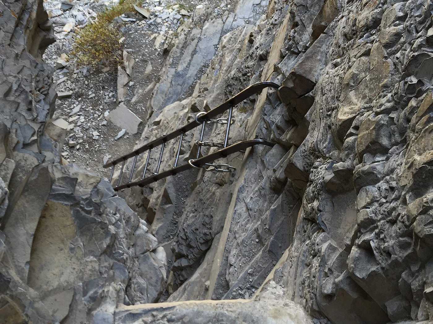glacier_national_park_many_glacier_loop_1799 2.jpg